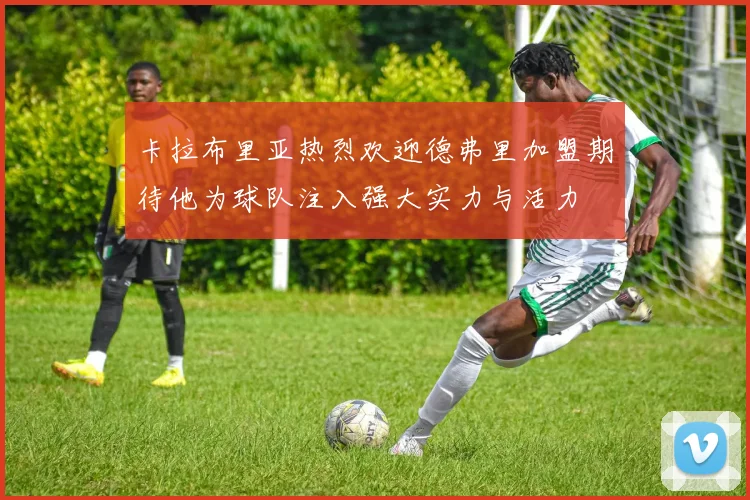卡拉布里亚热烈欢迎德弗里加盟期待他为球队注入强大实力与活力
